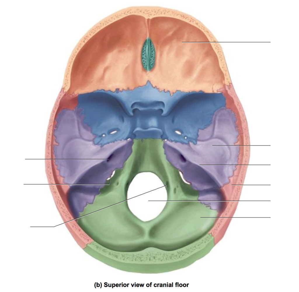 <p>What is this structure?</p>