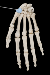 <p></p>