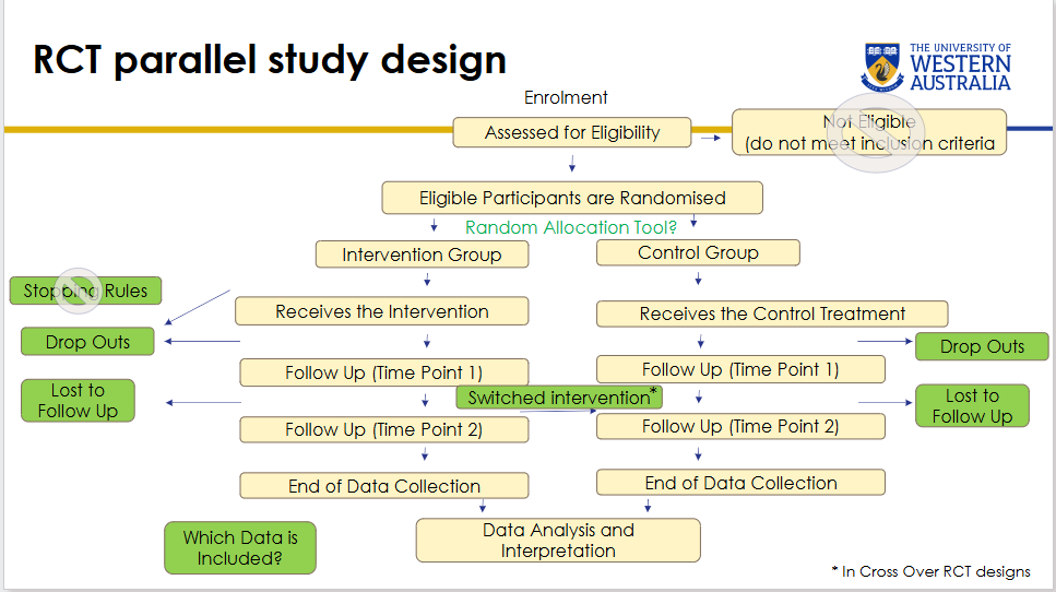 <p>What is the typical sequence in a parallel RCT design?</p>