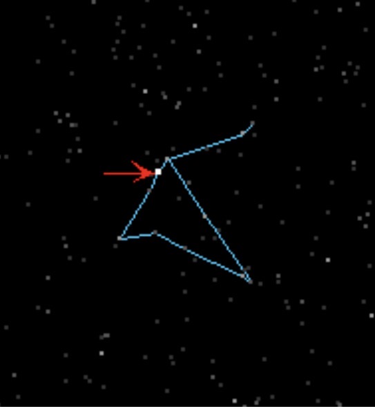 term image