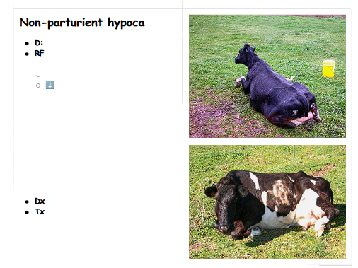 <p>.</p>