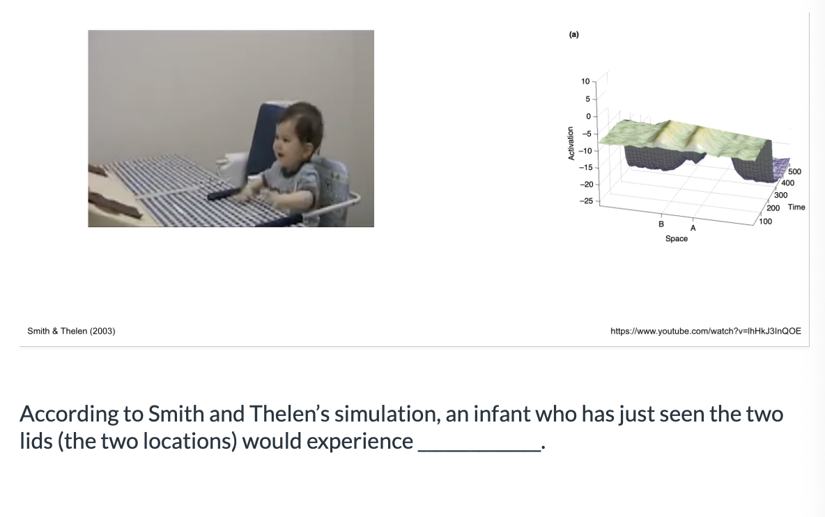 <ol><li><p><span>higher levels of activation at location B&nbsp;</span></p></li><li><p><span>similar levels of activation at both locations</span></p></li><li><p><span>higher levels of activation at location A&nbsp;</span></p></li></ol><p></p>