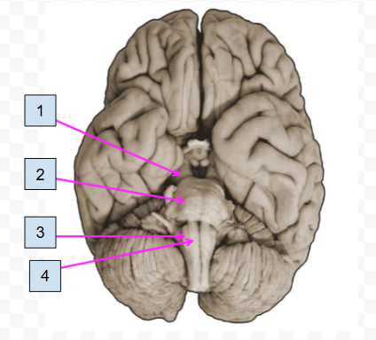 <p>1</p>