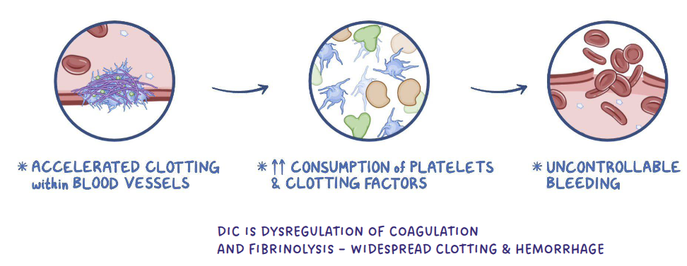 <p>Like severe inflammation</p>