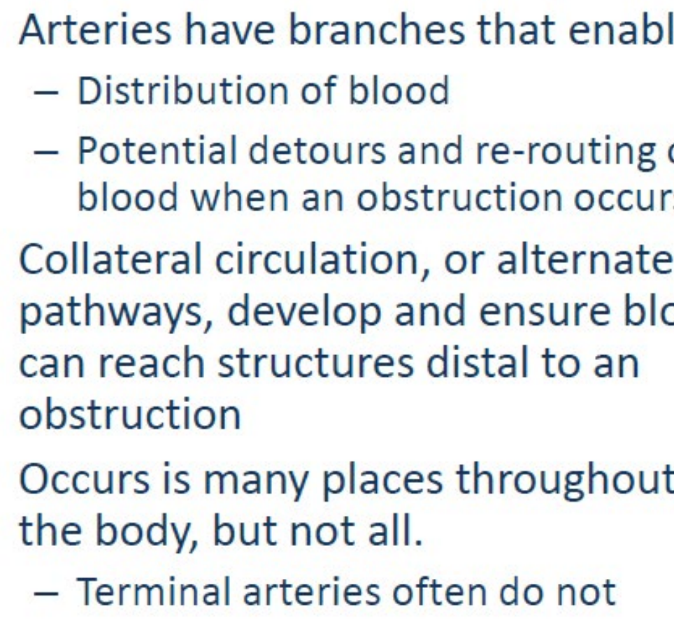<ul><li><p>Communication of Arteries</p></li></ul><p></p>