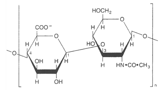 <p>nom de la molécules et nom de celle de d et de g</p><p>caractéristiques, motifs, dans quelle structures est elle présente, enzyme</p>