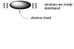 <p>covalent bond, electrons are shared equally</p>