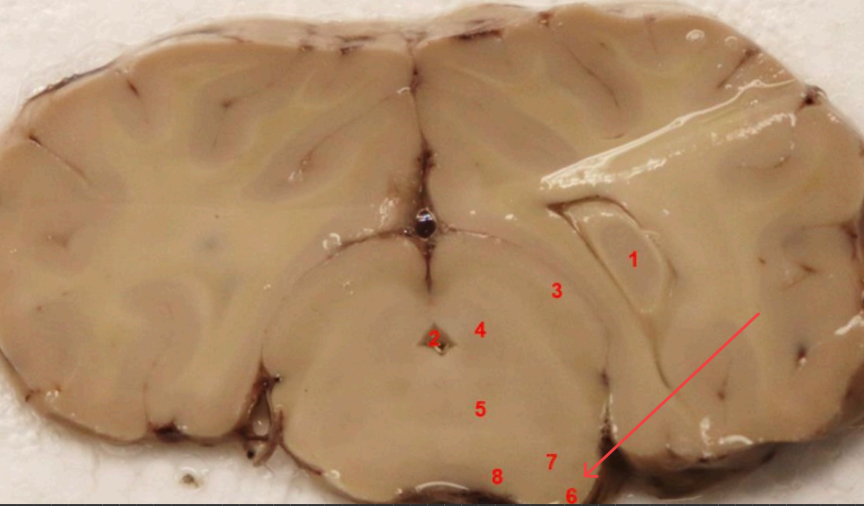 <p>what is this </p>