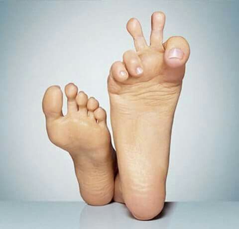 <p>Foot</p>
