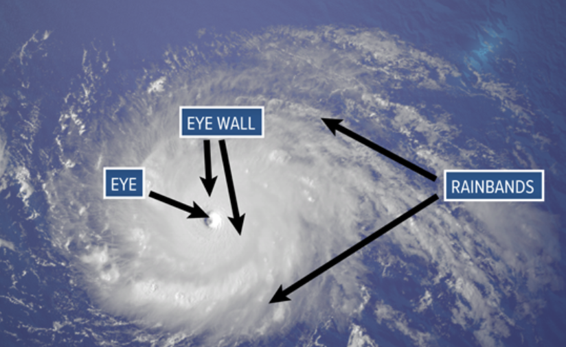 <p>The _________ are curved bands of clouds and storms that trail away from the eye wall in a spiral, capable of producing heavy bursts of rain, winds, and sometimes tornados.</p>