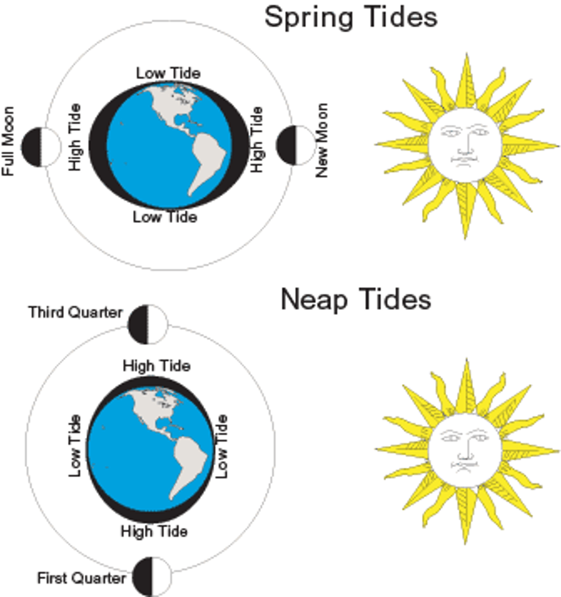 <p>The moon/ gravitational pull of the moon</p><p>Other option was winds</p>