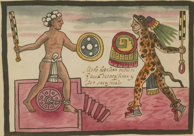<p>Image</p>