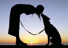 <p>Respecto de una persona casada, persona que mantiene una relación amorosa o sexual estable con ella</p>