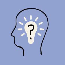 <p><strong>Skepticism </strong></p>