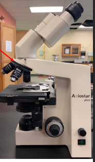 <p>Name this part of the microscope and function</p>