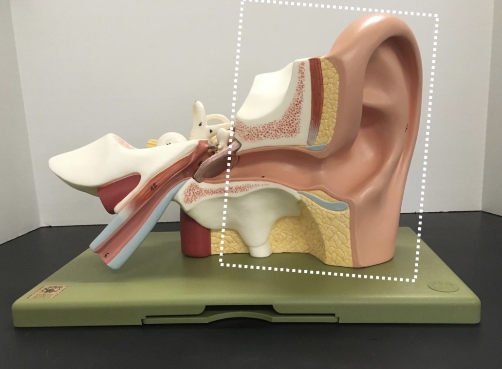 <p><span>name the specific region indicated</span></p>