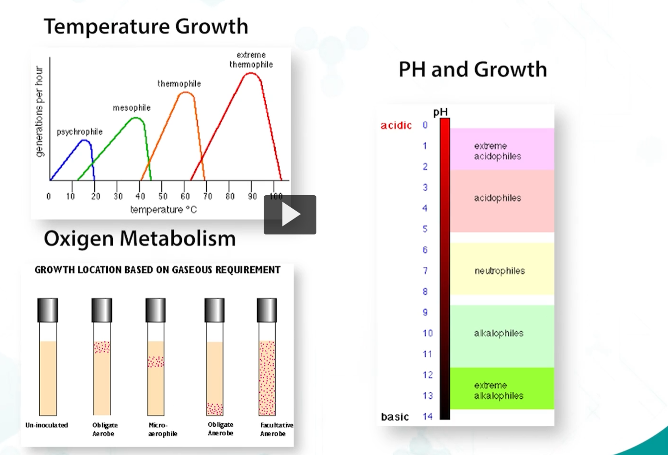 <p>bacteria are capable of growing in a <strong>wide range of temperatures</strong>, from the <strong>artic</strong> to <strong>hot springs</strong>, in <strong>various and very wide pH ranges</strong>, and in different <strong>concentrations of oxygen</strong>. </p><p>These extreme environments have required the evolution of bacterial and protein structures that can function at such hard conditions. </p>
