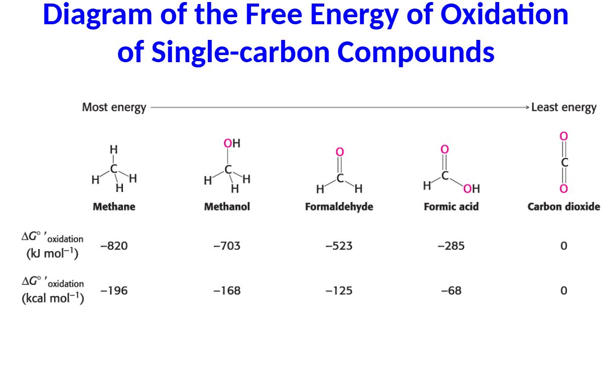 <p>Assign oxidation states to the elements whose atoms are</p><p>underlined in each of the following compounds or ions.</p><p>Which carbon is in the most reduced form and ranks these</p><p>compounds highest to lowest source of energy</p>