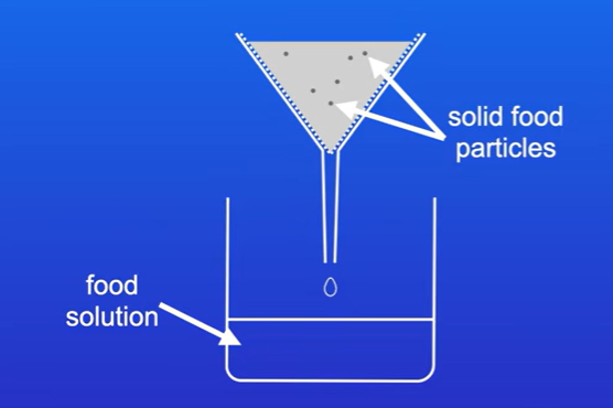 <p>We filter our mixture to remove solid food particles, and our test is carried out on the filtrate ( the food solution passed through the filter)</p>
