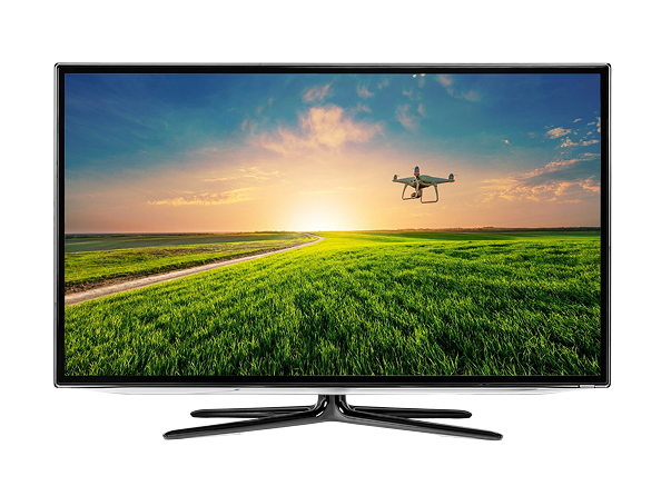 <p>the television</p>