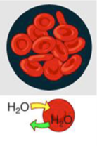 <p>Isotonic?</p>