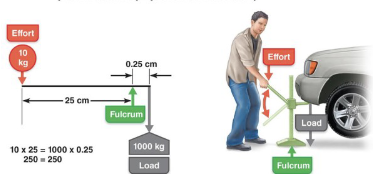 <p>Power lever → load is closer to fulcrum than effort</p><p>Less effort can move large load (less effort, more strength, less speed)</p><p></p>