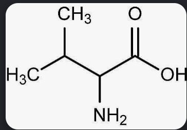 <p>What is this amino acid? </p>