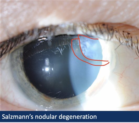 <p>Describe and give Diagnosis </p>