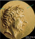 term image