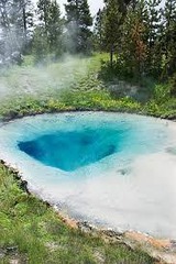 <p>Bacteria categorized by their temperature preferences: cold, moderate, and high, respectively.</p>