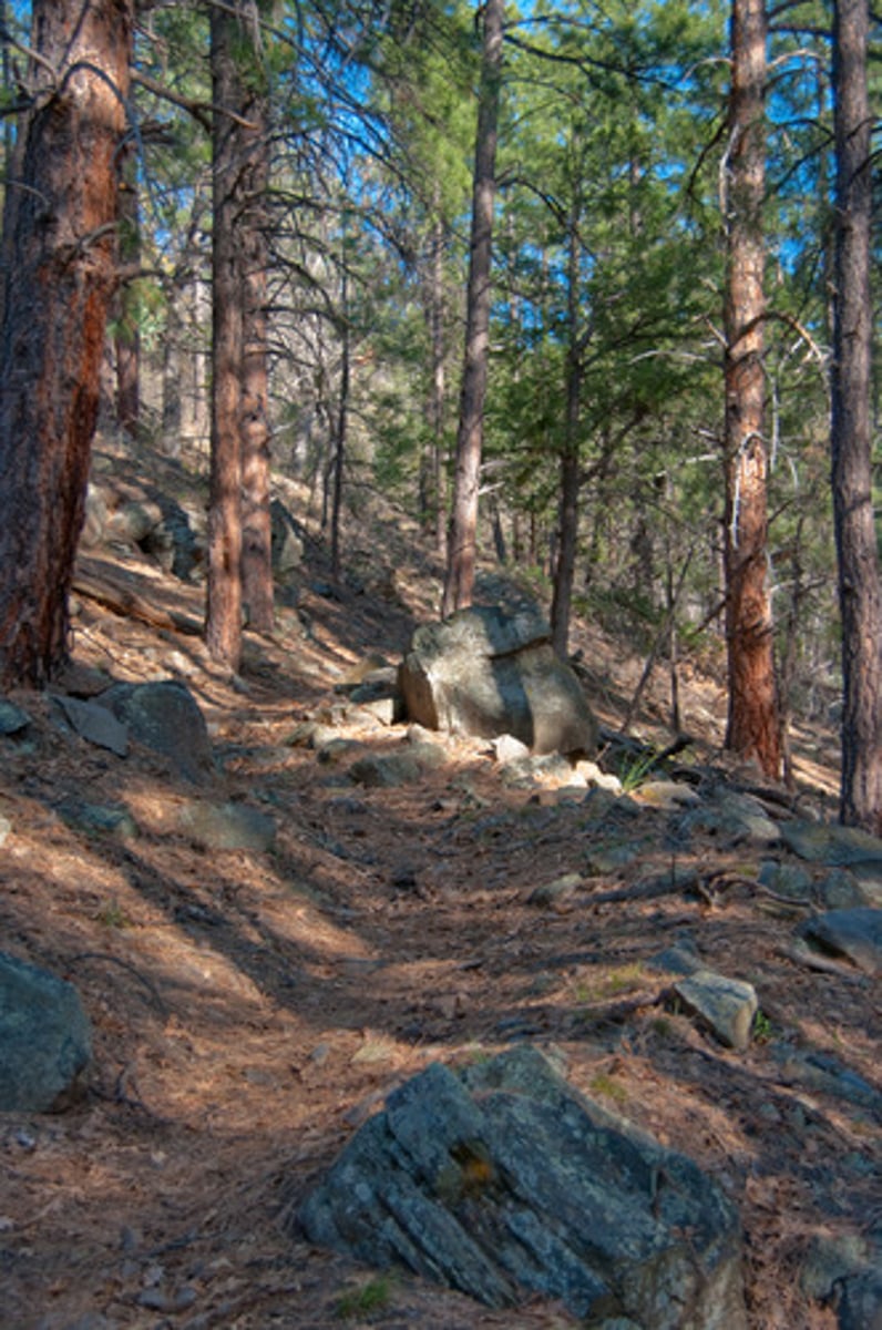 <p>un sentier balisé (sentier jalonné de signaux indiquant le chemin à suivre)</p>