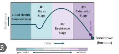 <p>3-stage pattern of behaviour in response to stressors </p>