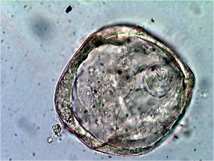 <img src="blob:null/e6d7ed56-1a44-426d-b50b-9c7f17c4dd70"><p></p>