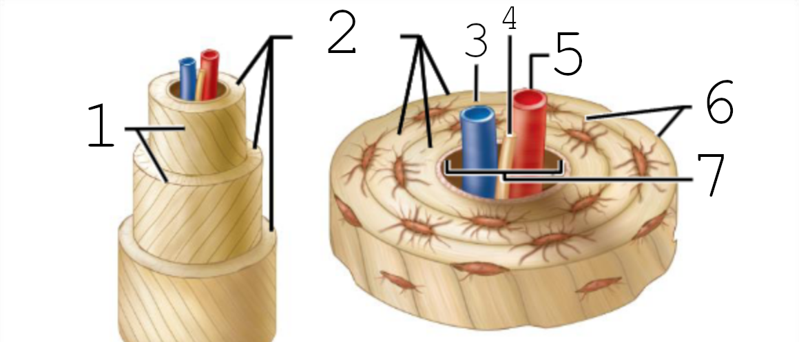 <p>6</p>