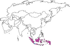 <p>Southeast Asia</p>
