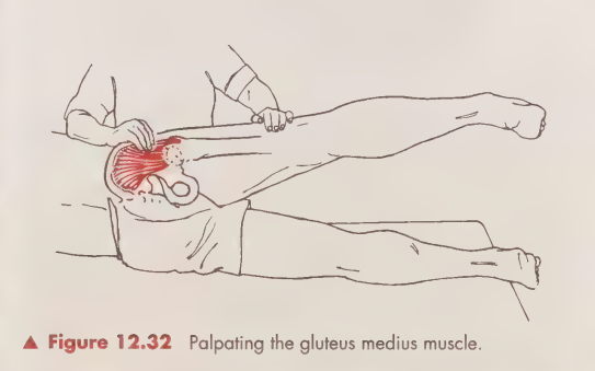 <p>Patient positioned on the side with the tested leg on top, hip extended and abducted. </p>