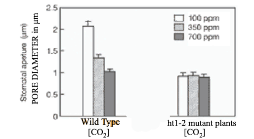 <p>From the data below it appears that…</p>