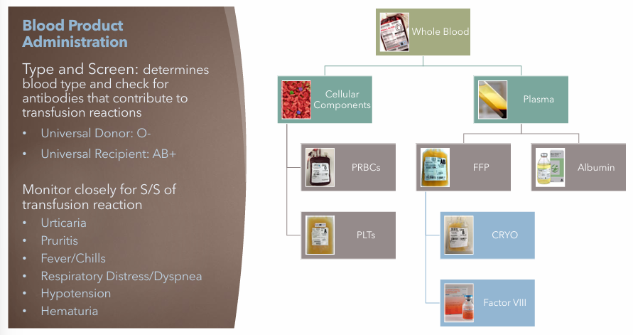 <p>Monitor closely for S/S of transfusion reaction</p><ul><li><p>Urticaria</p></li><li><p>Pruritis</p></li><li><p>Fever/Chills</p></li><li><p>Respiratory Disease/Dyspnea</p></li><li><p>Hypotension</p></li><li><p>Hematuria</p></li></ul><p></p>