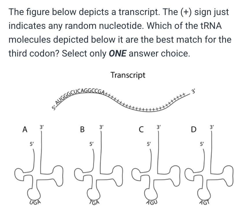 <p>A</p><p></p><p>&nbsp;</p><p>B</p><p>&nbsp;</p><p>C</p><p>&nbsp;</p><p>D</p><p>&nbsp;</p><p>None of the above</p>