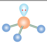 <p>Trigonal Pyramid</p>