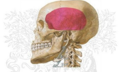 <p>Identify the structure</p>