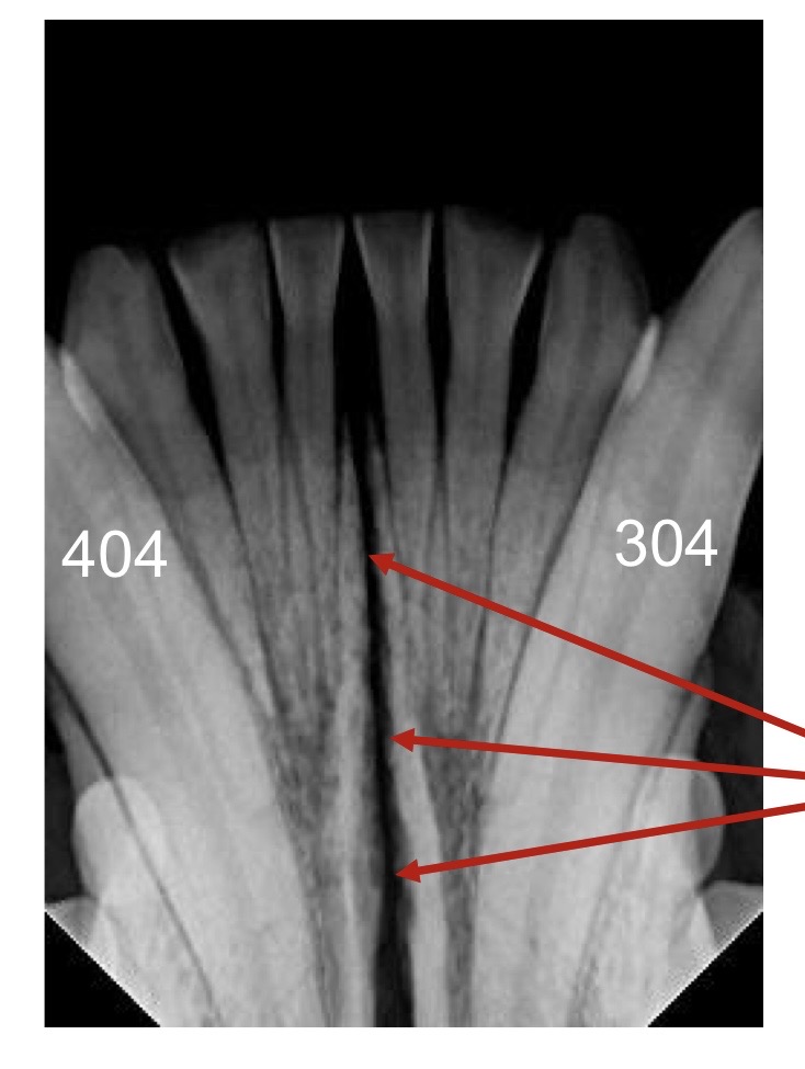<p>what are the arrows pointing to?</p>