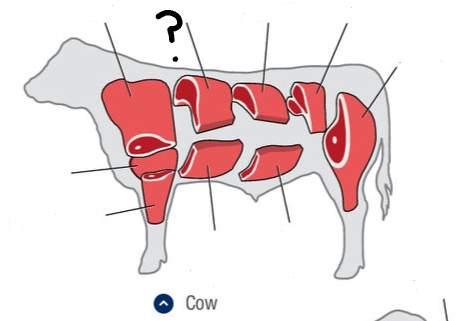 <p>What is this cut of meat?</p>