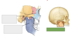 <p>This is the</p>