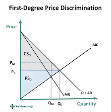 <p><span>Monopolist charges each consumer their exact willingness to pay, extracting all consumer surplus</span></p>