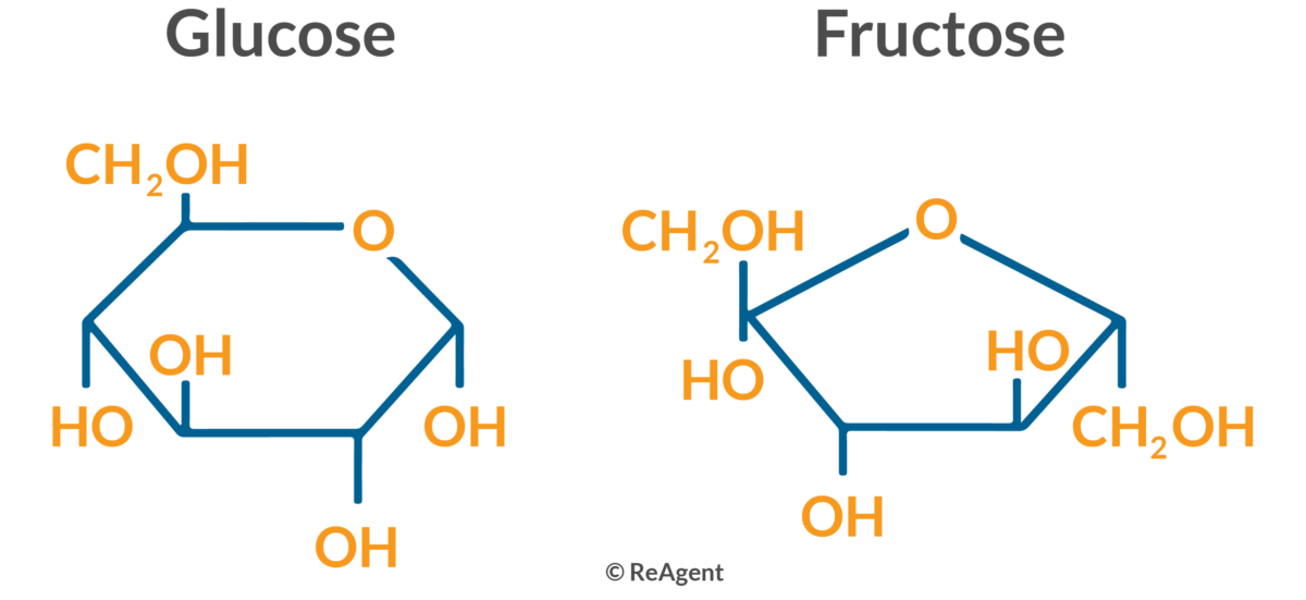 <p>pentose ring with O and hydroxyl group.</p>