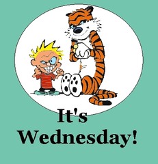 <p>Wednesday</p>