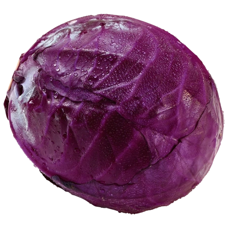 <p></p>