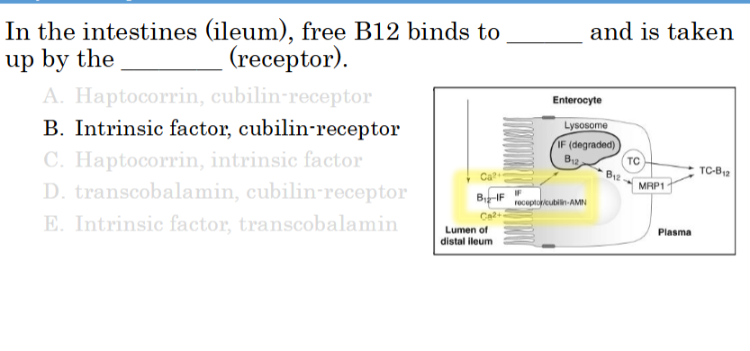 knowt flashcard image