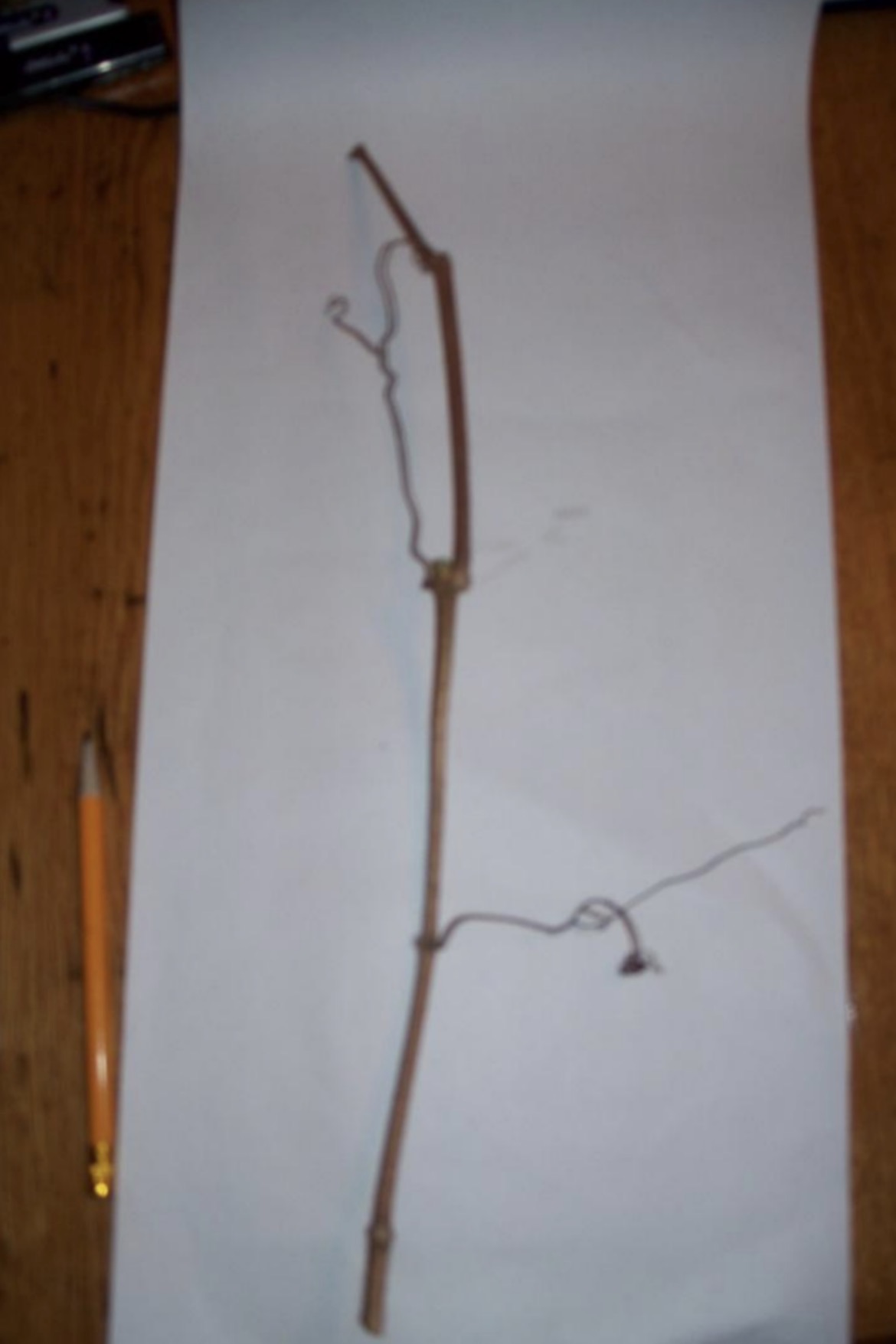<p>What is this branch?</p>